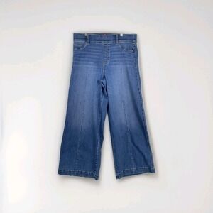 Spanx Jeans Womens 2X Blue Vintage Indigo Wide Leg Pull On High Rise Stretch